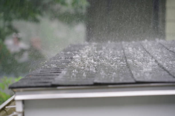 Best Storm Damage Roof Repair  in Trotwood, OH